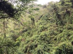 -火炉山森林公园