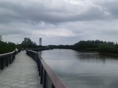 -东寨港红树林旅游区