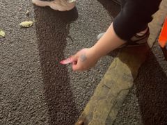 -辣出味岳阳特色烧烤·龙虾大排档(砂子塘总店)