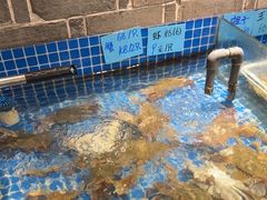 -小时候焗海鲜(鄞州万达店)