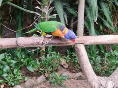 -南宫五洲植物乐园