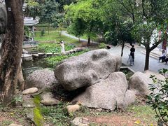 -深圳国际园林花卉博览园