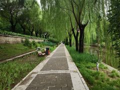 -元大都城垣遗址公园