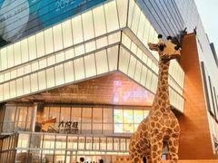 -COLOR PETS 撸猫馆·购猫·猫咖(长风大悦城店)