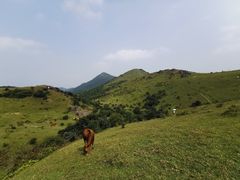 -大姆山草场