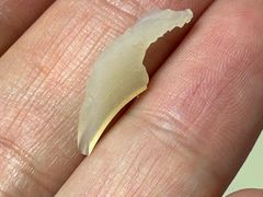 -紫光园·烤鸭(吕家营店)