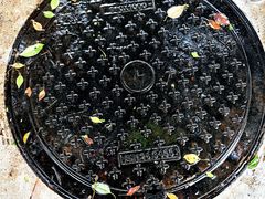 -天鹅湖体育公园