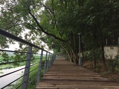 -月湖风景区