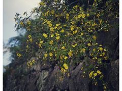 -会稽山峡洞漂流-上青古道