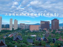 -三亚湾红树林度假世界(木棉酒店)