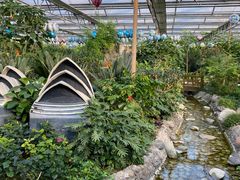 -南宫五洲植物乐园