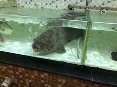 -沙田台山海鲜·酣客酒窖