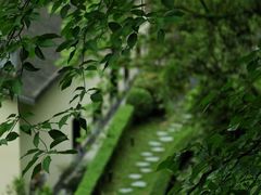 -青城山