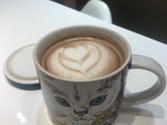 -飞行喵MR PILOT|猫舍·猫咖(静安大融城店)