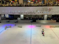 -TheRink大零溜冰场(IFS国金中心店)