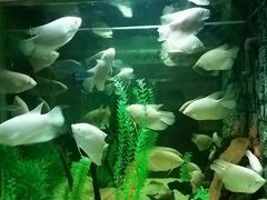 -洛阳龙门海洋馆
