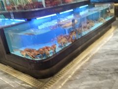 -阿伟海鲜楼·福建菜(延寿店)
