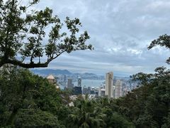 -太平山顶
