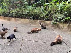 -广州市白云山风景名胜区