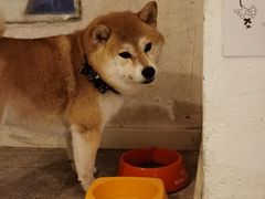 -三目仓咖啡(贤南路店)
