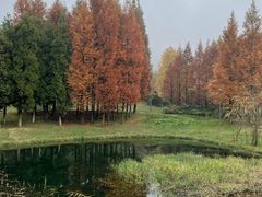 -贵阳市花溪国家城市湿地公园