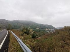 -四明山国家森林公园