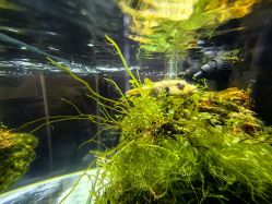 -Zoolung Zoolung动物主题公园(海信广场店)