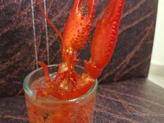 -怪怪龙虾·澳洲蓝龙王·深夜食堂(惊驾路店)