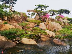 -罗红摄影艺术馆