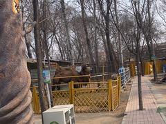 -1982农场