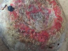 -金太粽(上海弄堂第一粽店)