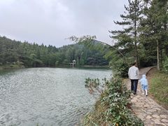 -四明山国家森林公园