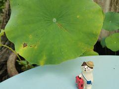 -石舍洒秀咖啡馆