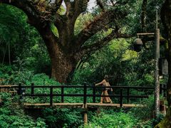 -古堰画乡景区