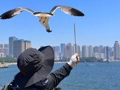 -黑石礁公园