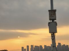 -厦门园林博览苑