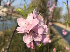 -湘湖金融镇
