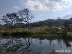 -中山市树木园