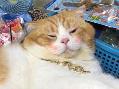 -吴山路夜市
