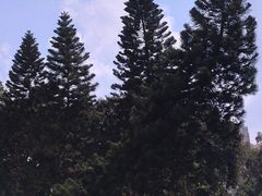景点-荔湾湖公园