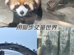 -郑州市动物园