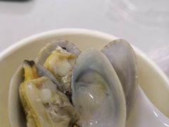 -真豪佳(万达店)
