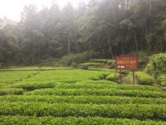 -武夷山风景名胜区-虎啸岩