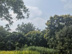 -成都市活水公园