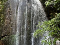 -大鄣山卧龙谷景区