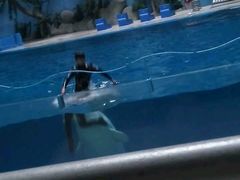 -泉城欧乐堡海洋极地世界