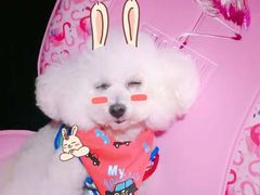 -喵汪宠物生活馆(涞坊路店)