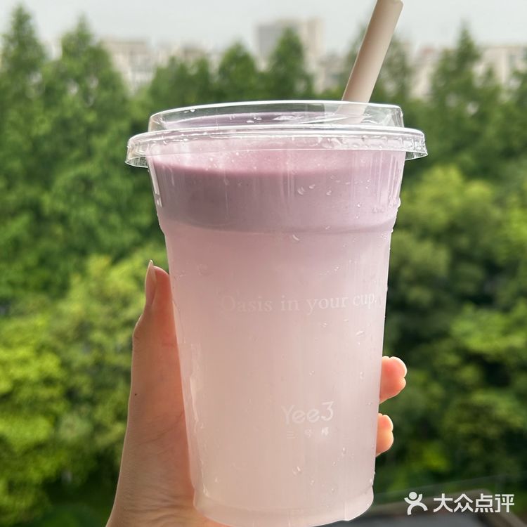 三号椰 Yee 3[色]