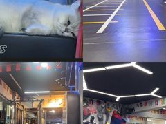 -M.S拳击泰拳馆(大学路店)
