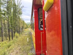 -莫尔道嘎国家森林公园